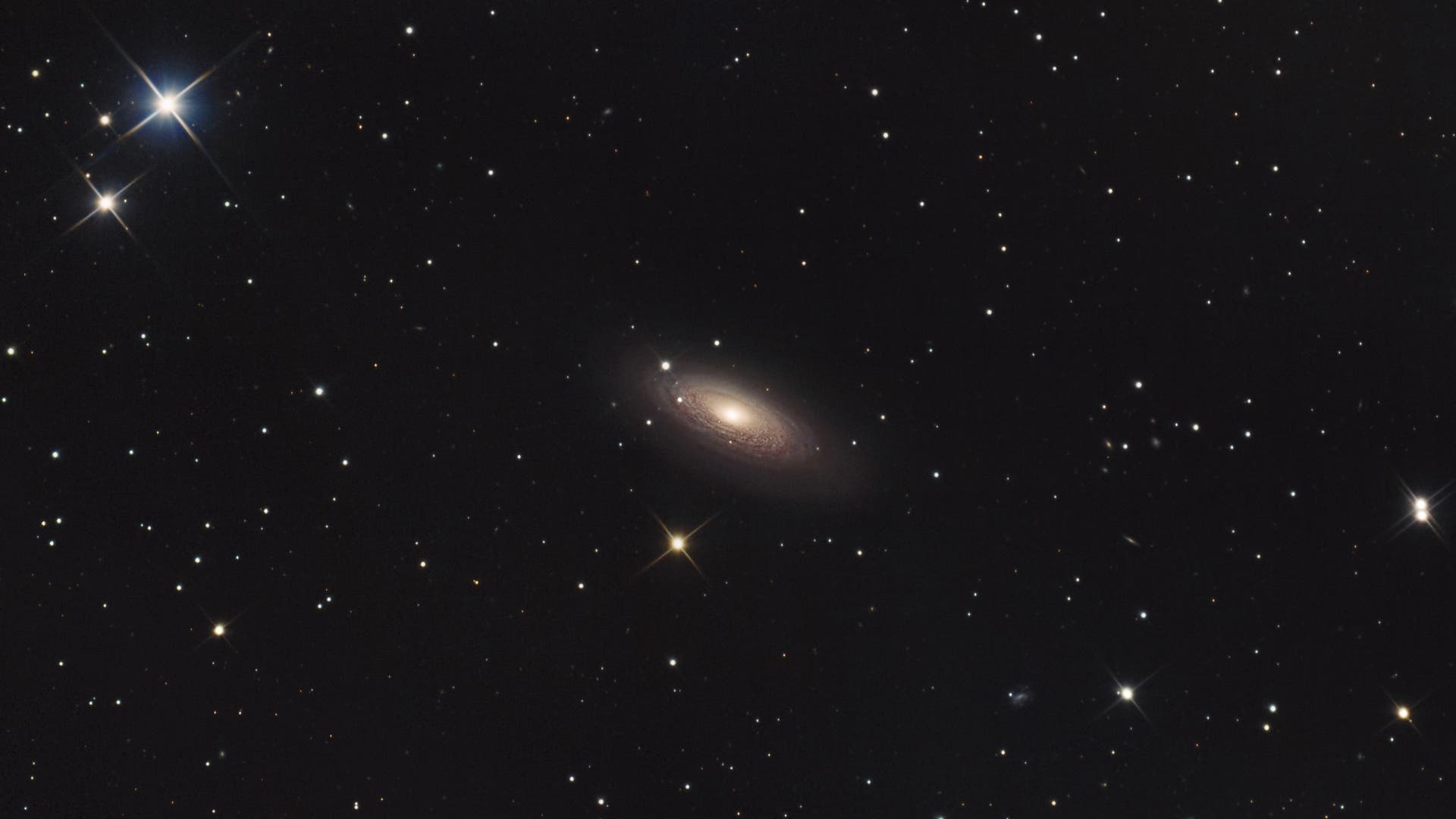 NGC 2841 Spektrum der Wissenschaft